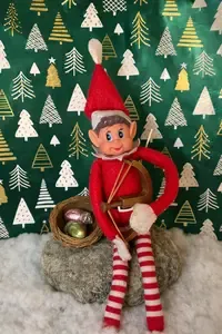 3 nøtter til askepott - jaktutstyr